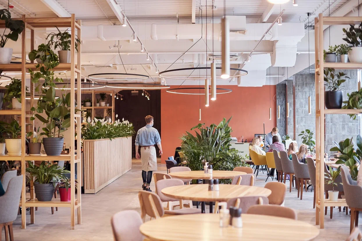 кафе рататуй — изображение 2