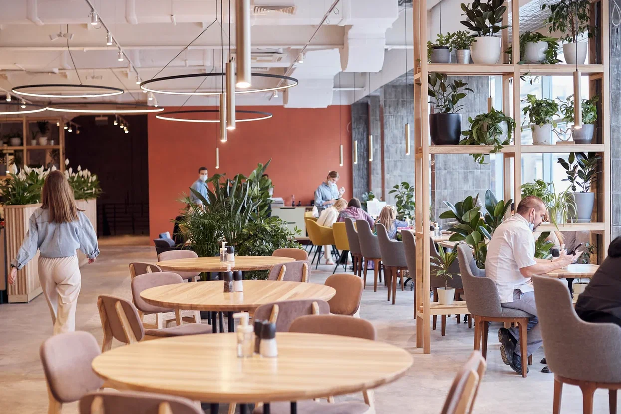 кафе рататуй — изображение 5